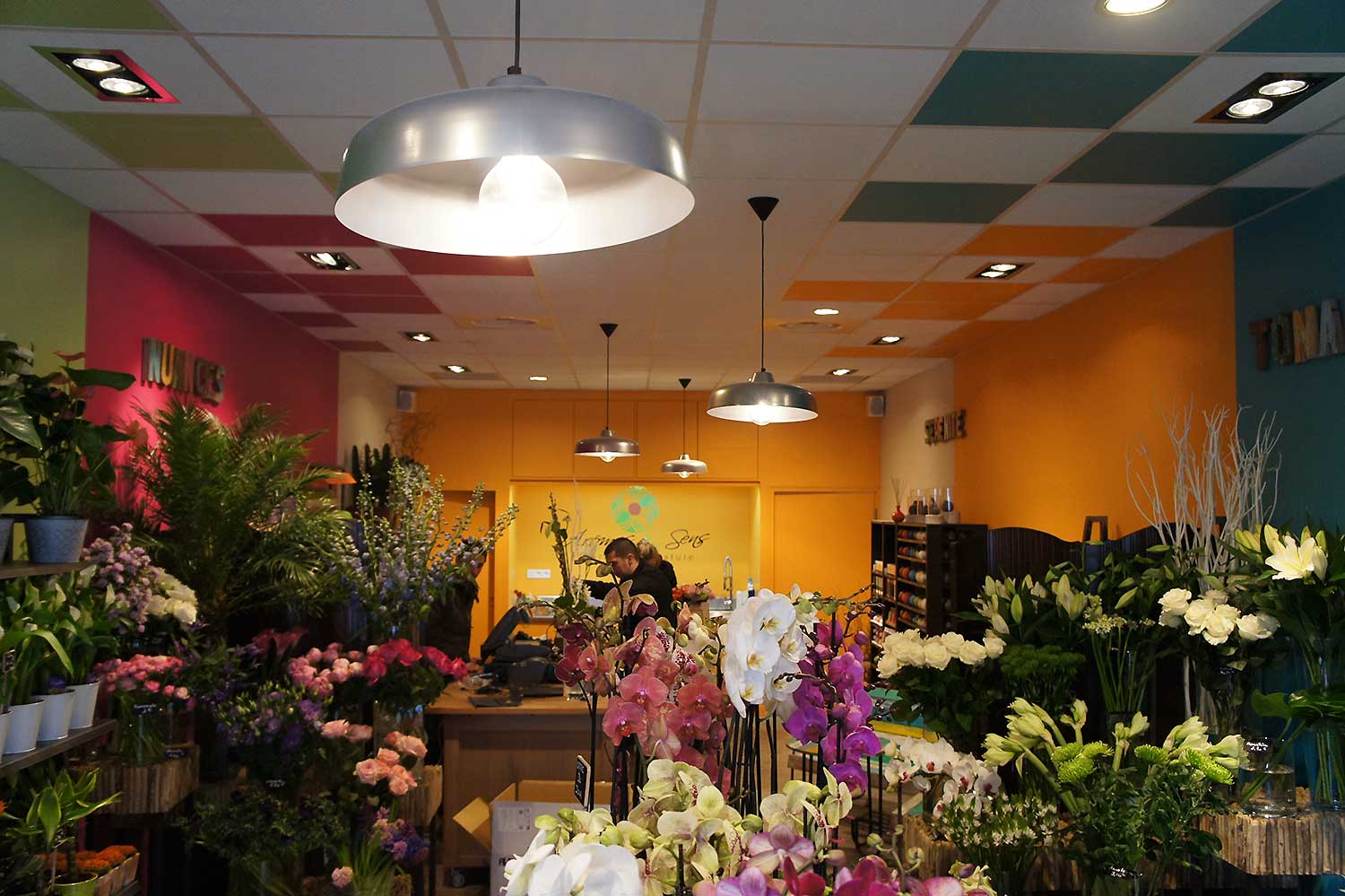Aménagement d'un magasin de fleurs avec les notions du feng shui